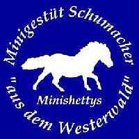 logo schumacher